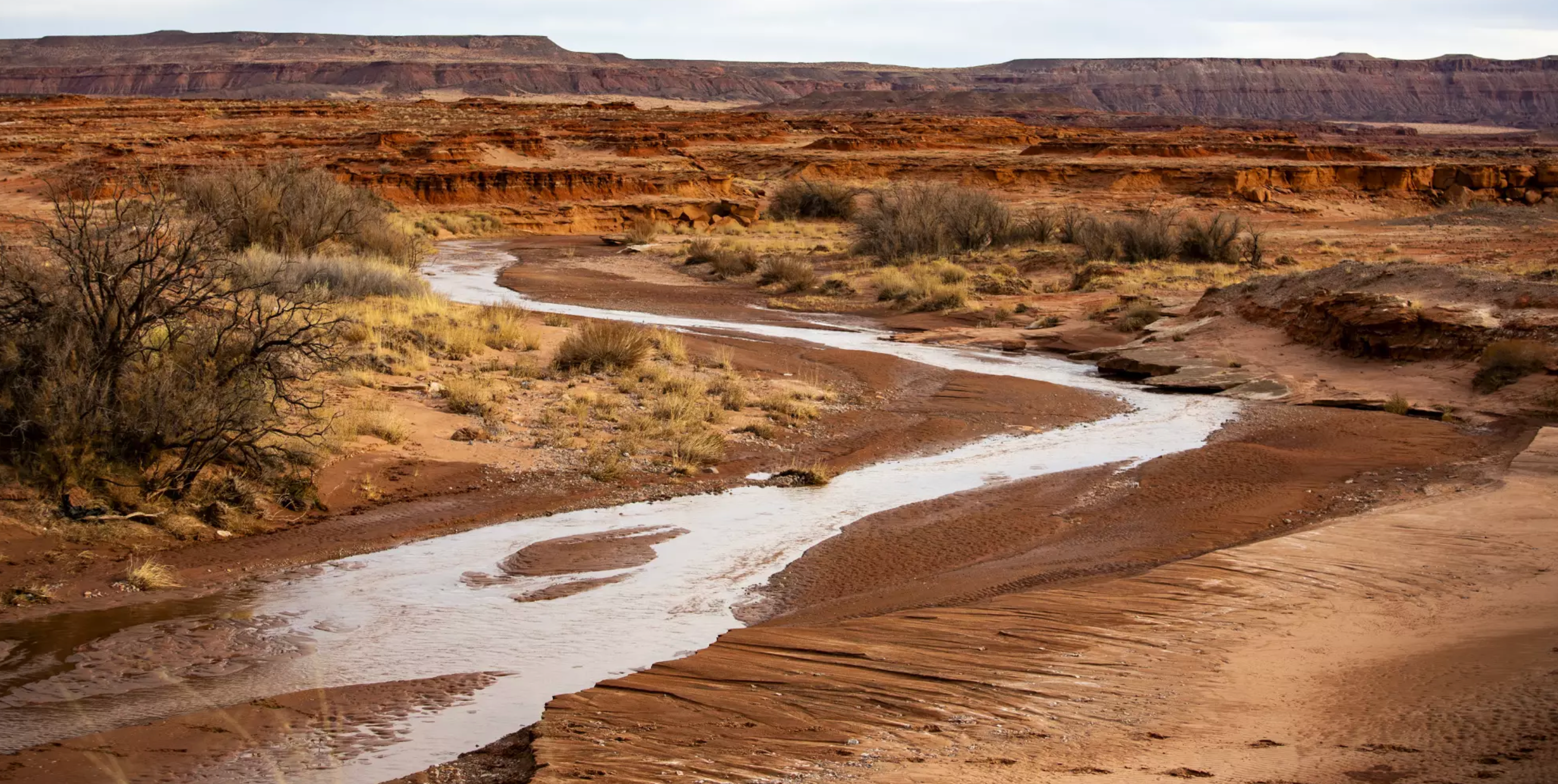Northern Arizona Indigenous Tribes Push for Water Rights