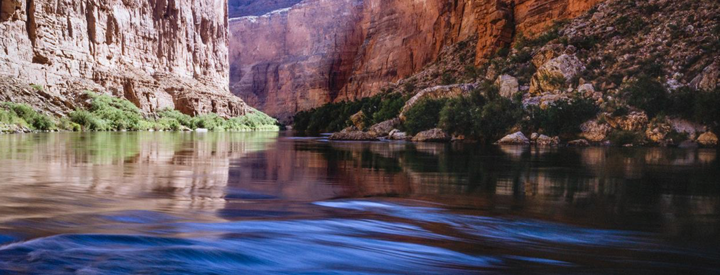 Megafauna Partners with Western Resource Advocates!