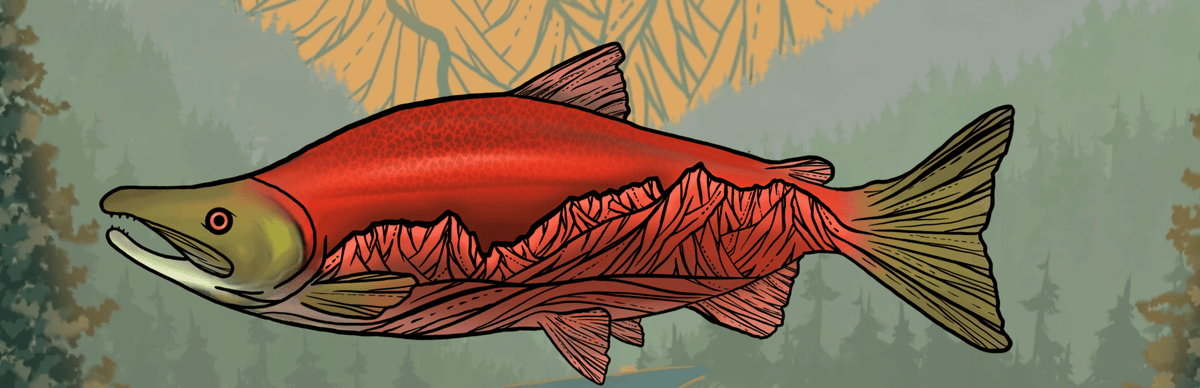 Friends of the Yampa: Idaho Rivers United - Megafauna River Co