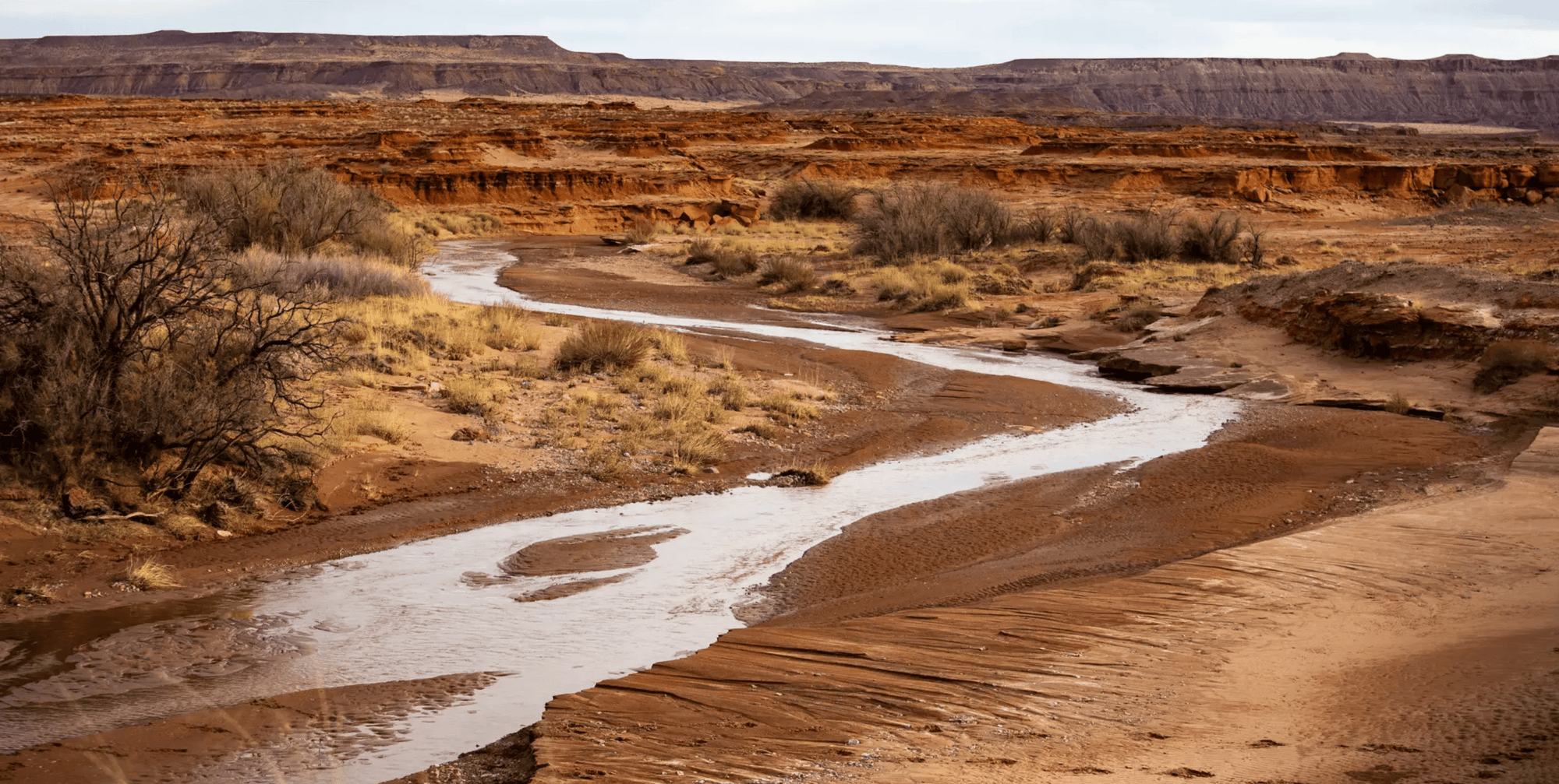 Northern Arizona Indigenous Tribes Push for Water Rights - Megafauna River Co