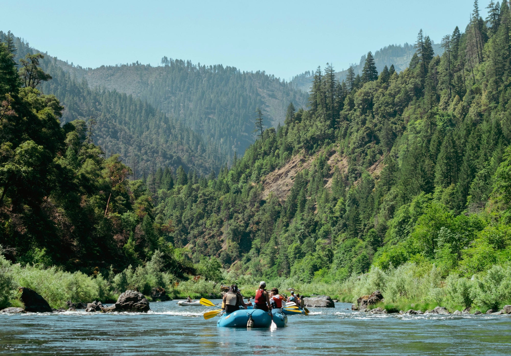 The Ripple Effect of Giving Back - Megafauna River Co