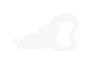 Megafauna River Co
