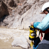 NFPA Bumblebee Throw Rope - Megafauna River Co